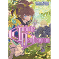 Infinite Dendrogram: Volume 17 (Light Novel): Volume 17