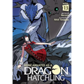 Reincarnated as a Dragon Hatchling (Light Novel) Vol. 13