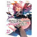 Didn't I Say to Make My Abilities Average in the Next Life?! (Light Novel) Vol. 20